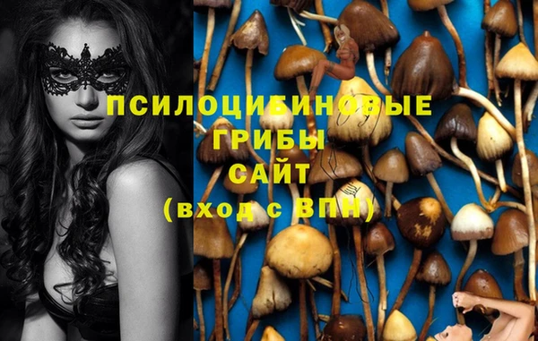 кокс Балабаново