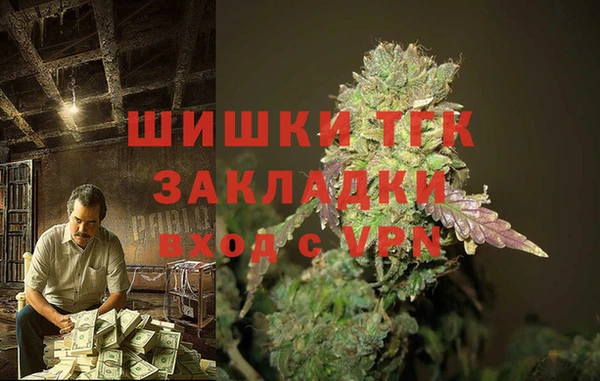 тгк Сатка