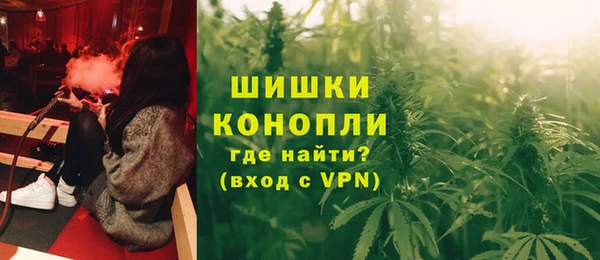 PSILOCYBIN Баксан